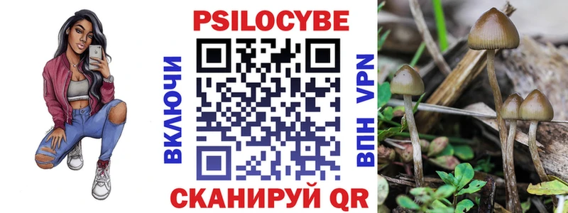 Купить где  Данков  Псилоцибиновые грибы ЛСД 